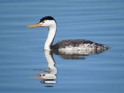 Tule Lake National Wildlife Refuge California