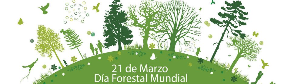 Tus Efemérides Escolares: 21 de Marzo Día Forestal Mundial y Día