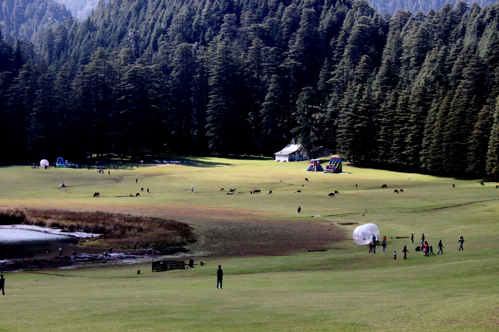 My world my life !!: Bike Trip to Chamba - Khajjiar, Mini Switzerland Day 2
