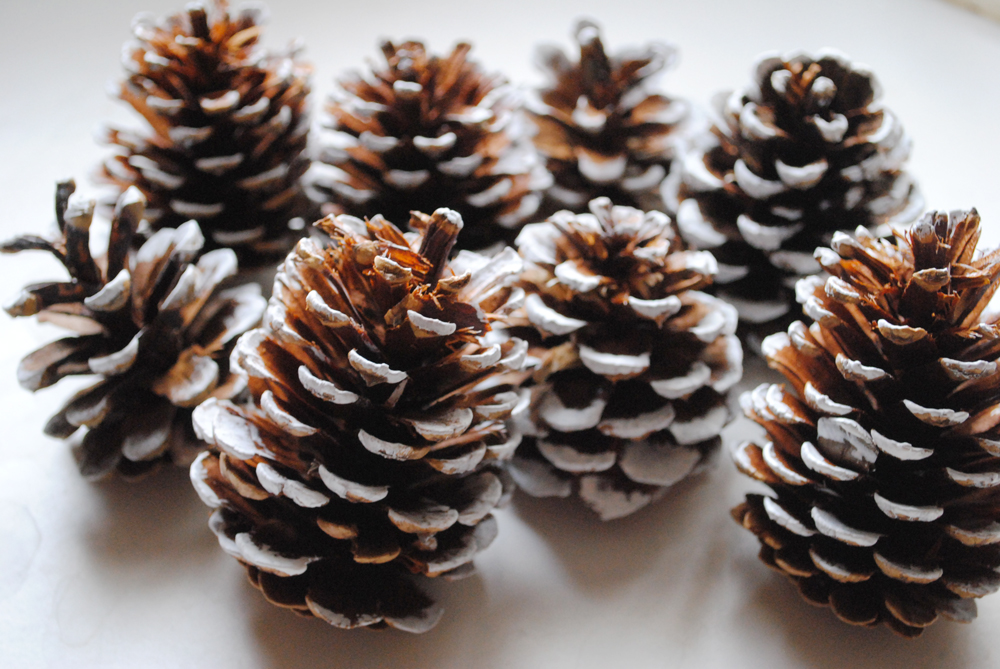 love decorating the house with pine cones for the Christmas holidays ...