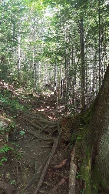 Sentier vers le mont des Morios