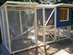 chicken wire coops