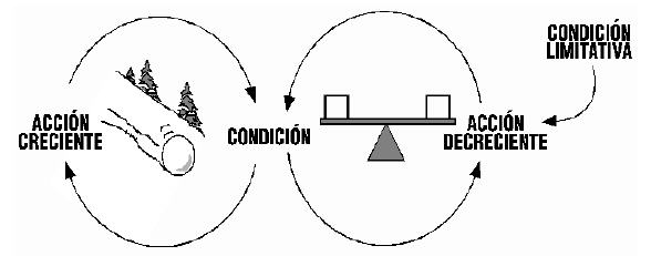 arquetipos sistemicos