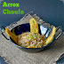 Arroz chaufa 