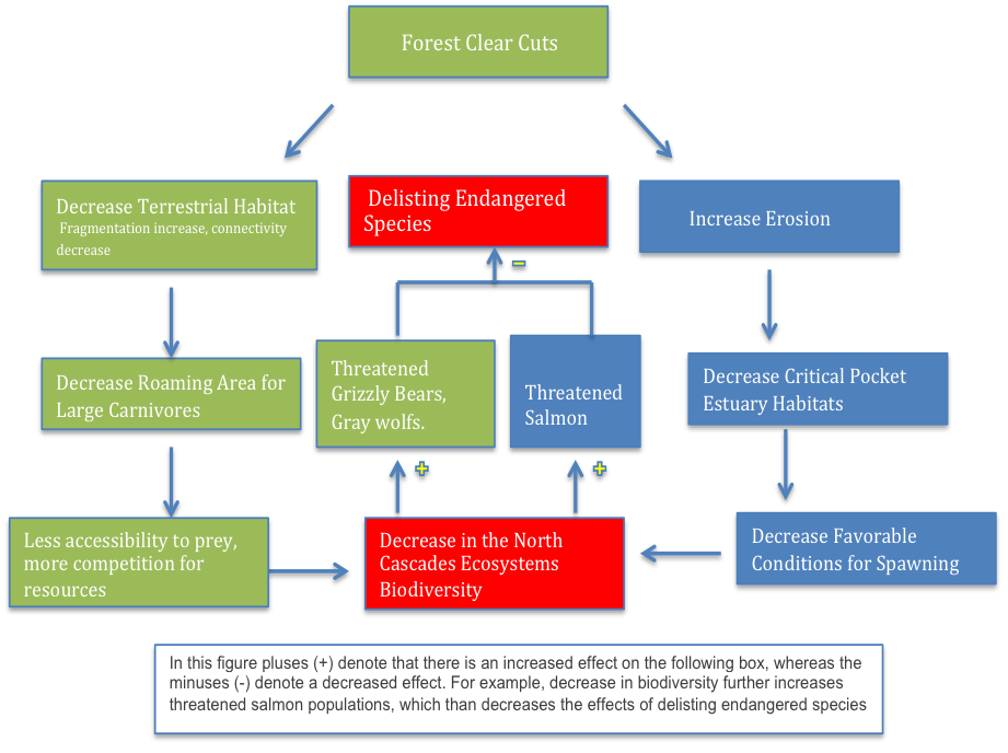 Washington North Cascades at Risk! The North Cascades National Forest