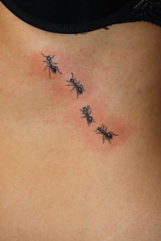 Tatuajes de Hormigas
