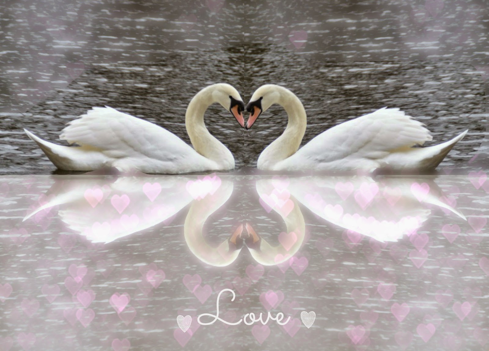 , Love Heart Swans for Valentine&#8217;s Day #craft