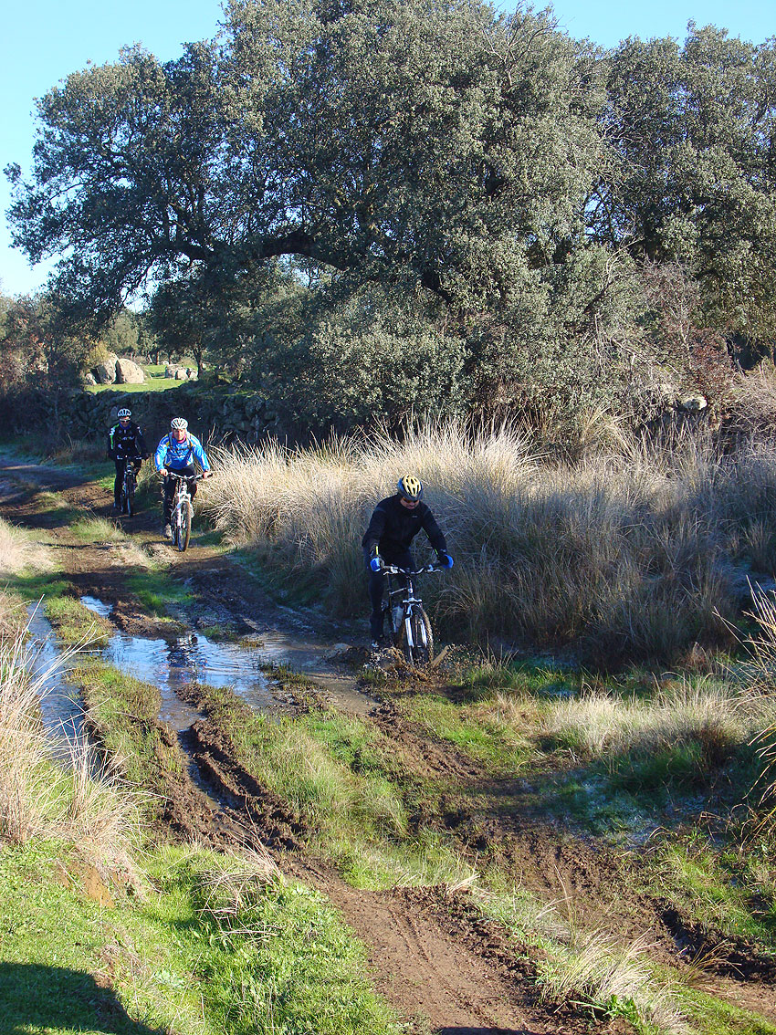 Asociación de MTB "El Trébol": ¡Que tiene esta bola que a todo el mundo