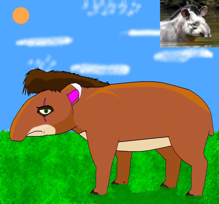 tapir coloring pages for kids - photo #34
