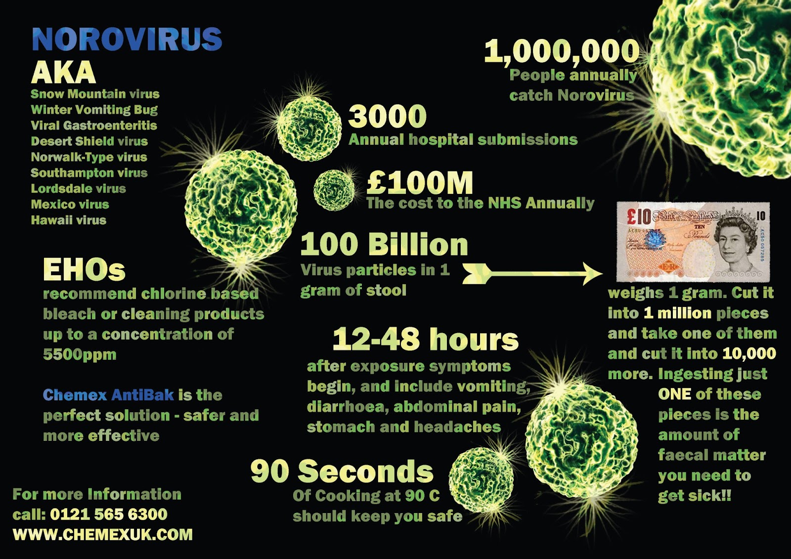 Генотипы норовируса