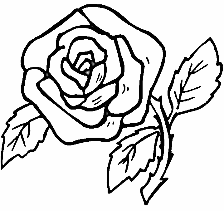 Coloring Pages for Kids: Rose Coloring Pages for Kids