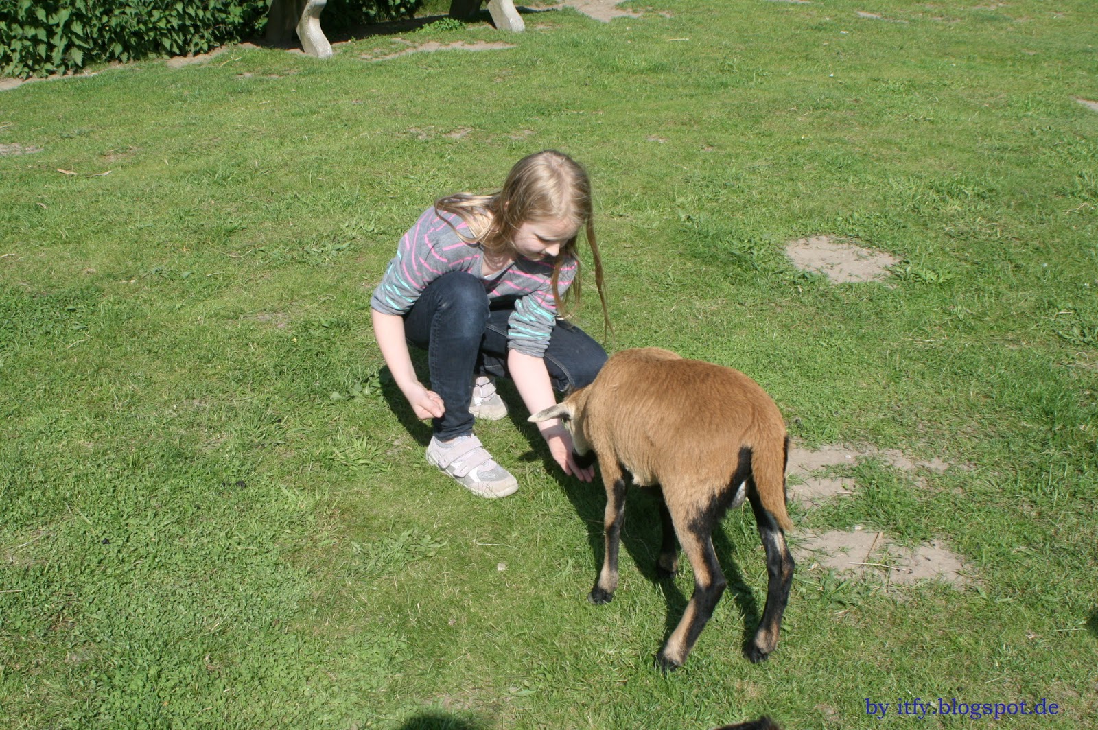 I Test For You Ausflugs Tipp Irrland Twistenden Kevelaer Nrw