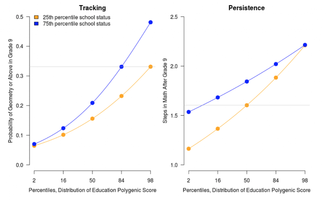 Information Processing