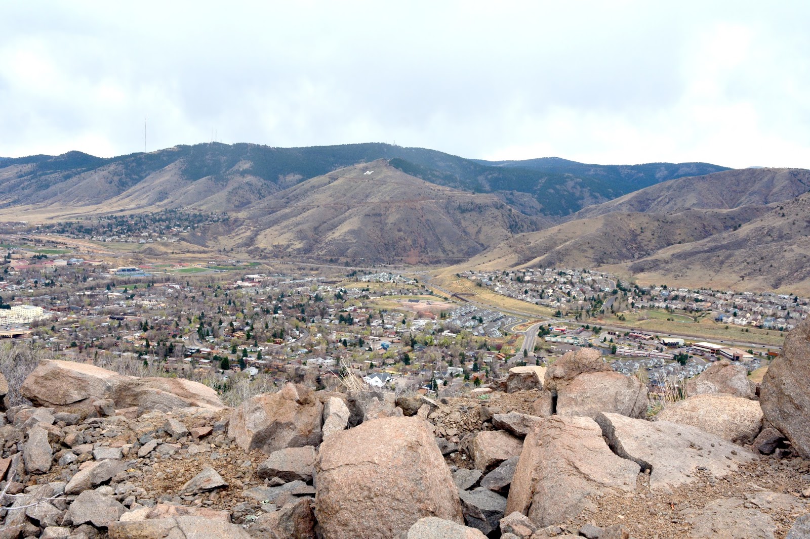 Mille Fiori Favoriti North Table Mountain Trail and Park, Golden, Colorado
