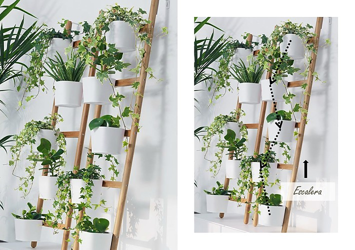 Cómo hacer composiciones con plantas