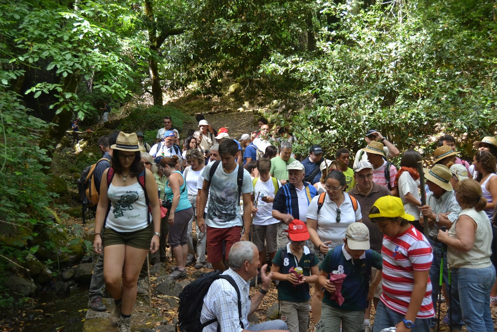 Actividades Septiembre 2014