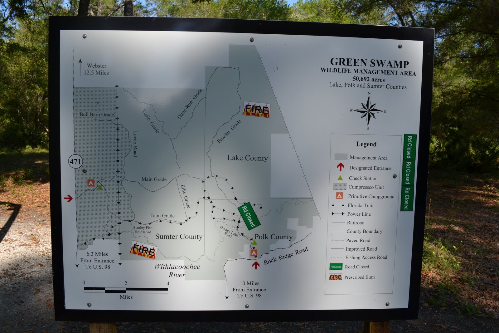 The Wild Life Florida Spring Turkey - Gs%2B003 