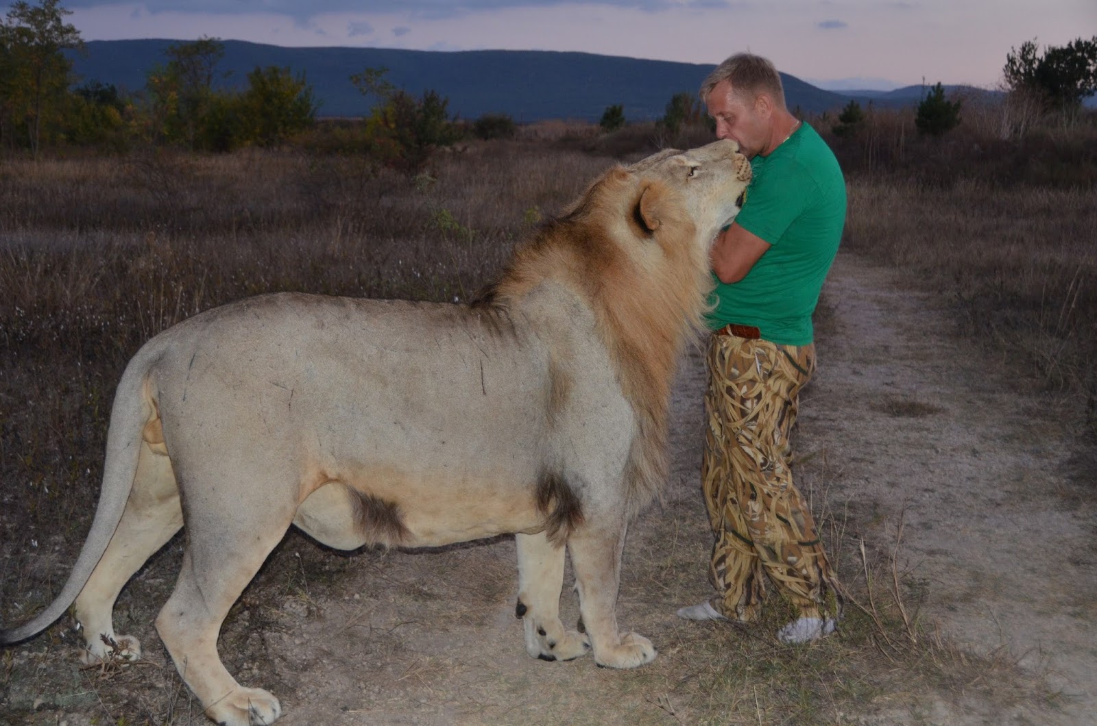 тайган новости сегодняшних событий. тайган новости сегодняшних событий. тайган новости сегодняшних событий. тайган сафари парк олег зубков. тайган фортнайт топ сет.