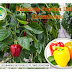 Menawan!! Budidaya Paprika Dalam Greenhouse