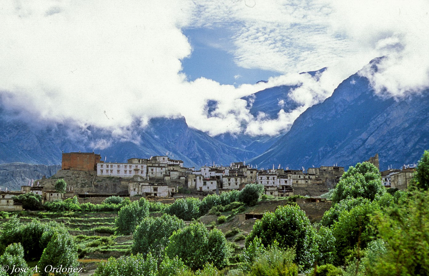 banderas de jardín primitivas