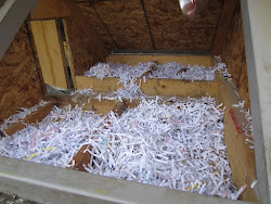 chicken change bedding sparing chickens