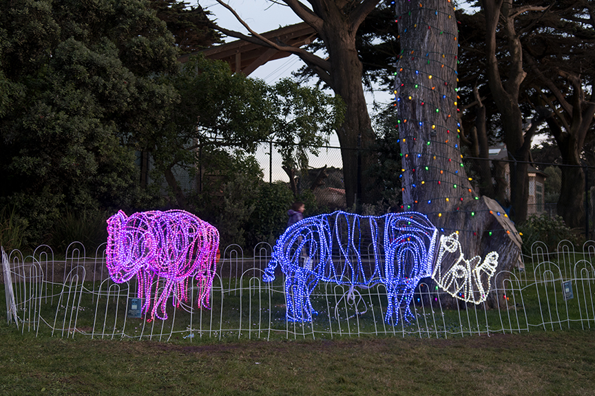 the mikereport Zoo Lights