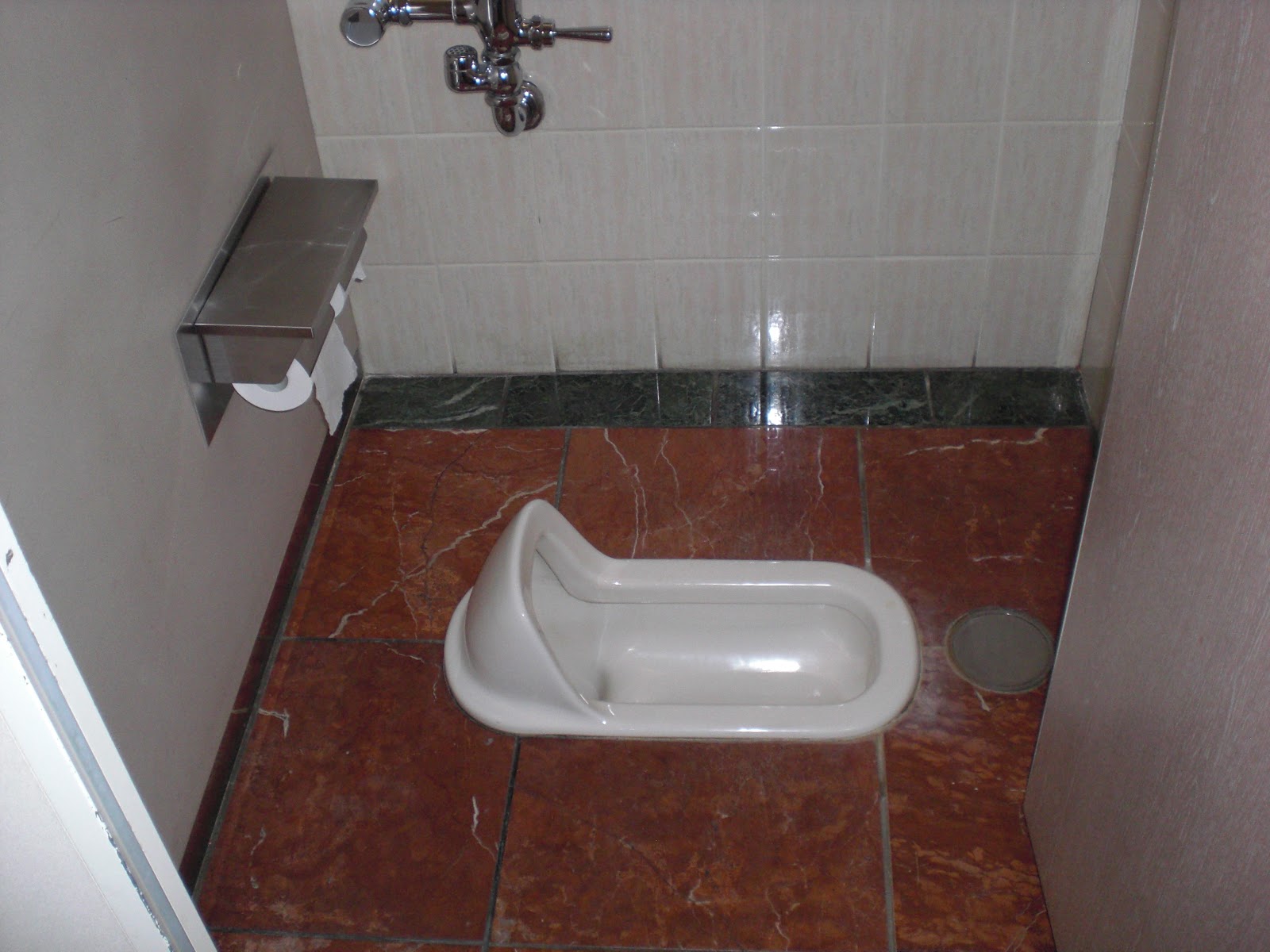 Great And Simple Indian Toilet Designs Placement Cute Homes