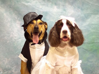 dogs+in+wedding+2.jpg