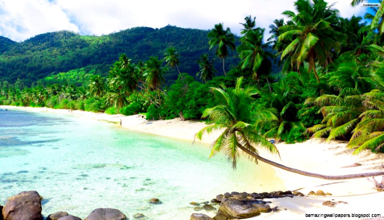 YouWall   Beautiful Beach Wallpaper   wallpaperwallpapersfree