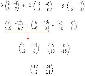 Teorema para Vida: Matrizes :Multiplicação de um número real por uma matriz