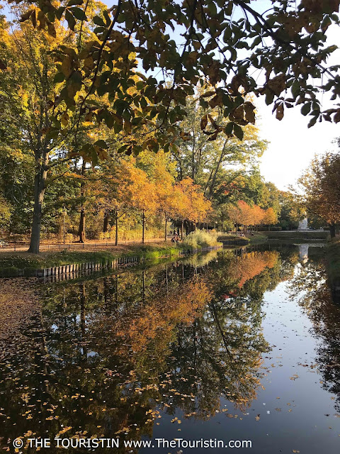 Trees in golden autumn foliage; whole scene reflected in the lake.