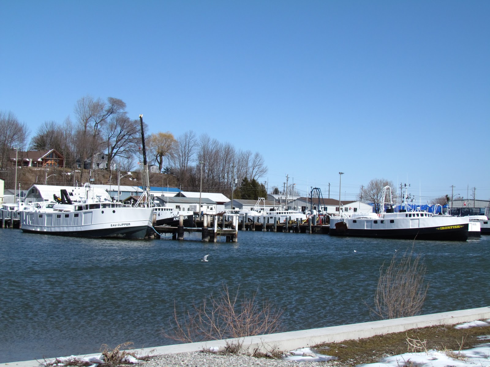 Dock Six Chronicles Small boats, Great Lake, Bay Closeup.