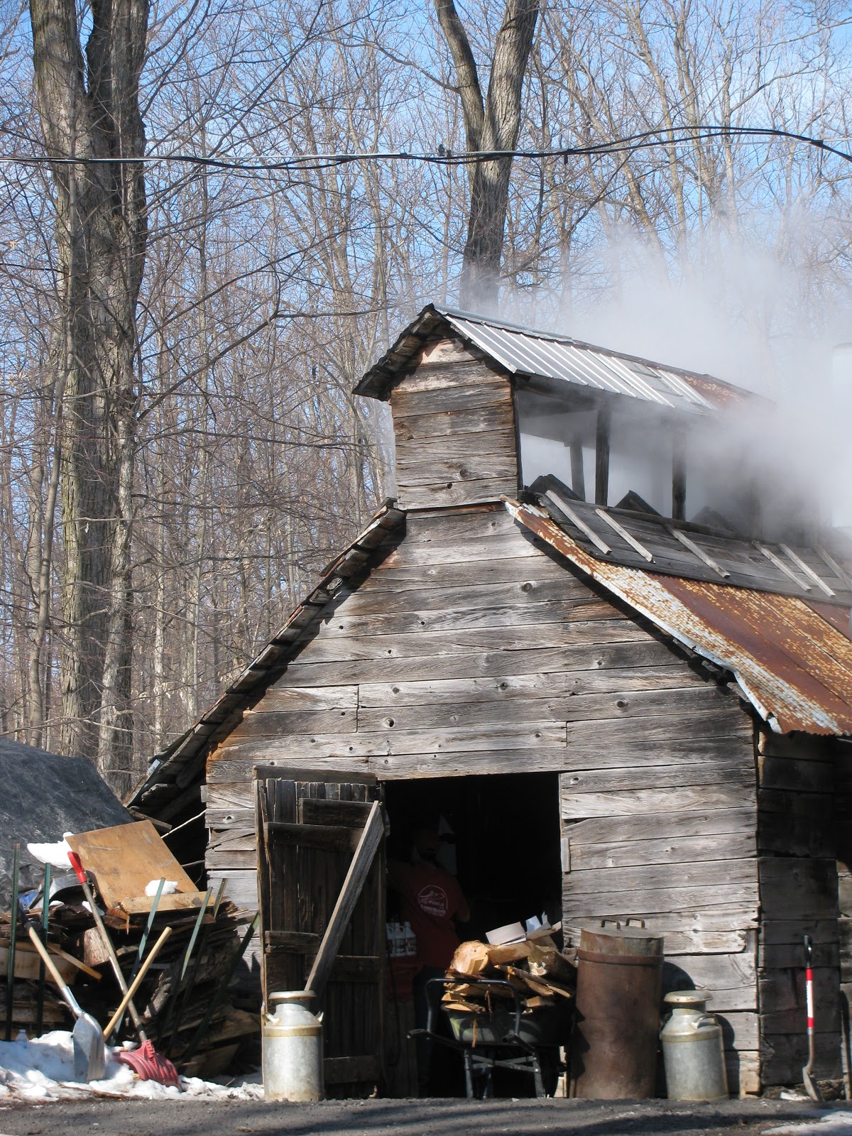 Tea for Two Sisters Sugar bush during the March Break