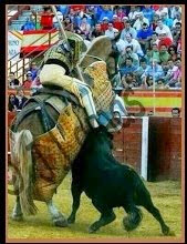 "El torero no es nada sin el toro. El toro siempre es grandioso aun sin el torero"-Fuentes Bejarano