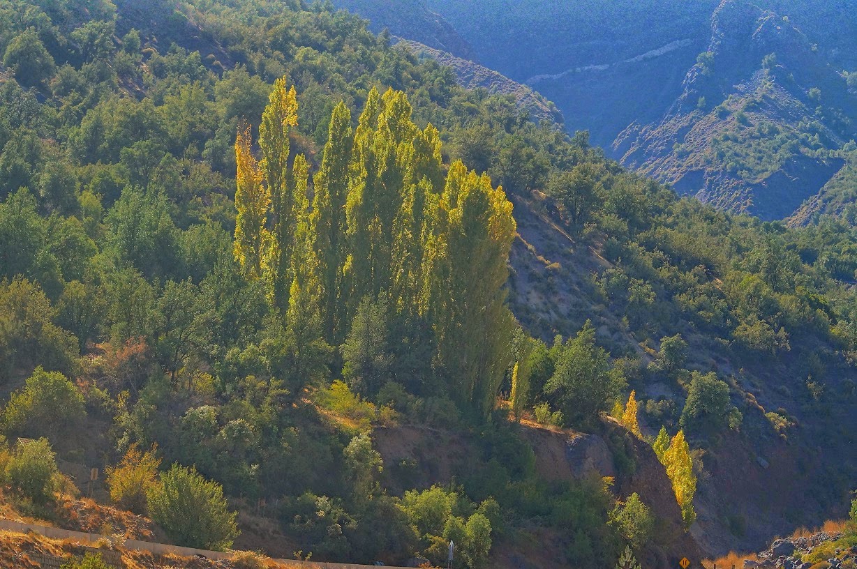 Las Fotos de los Viajes Cajon del Maipo en los Alpes Chilenos