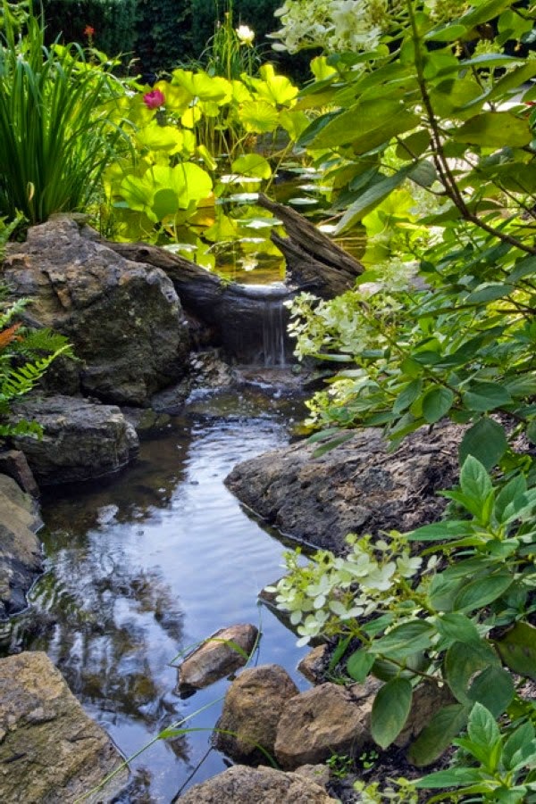 A relaxing garden and backyard waterfalls