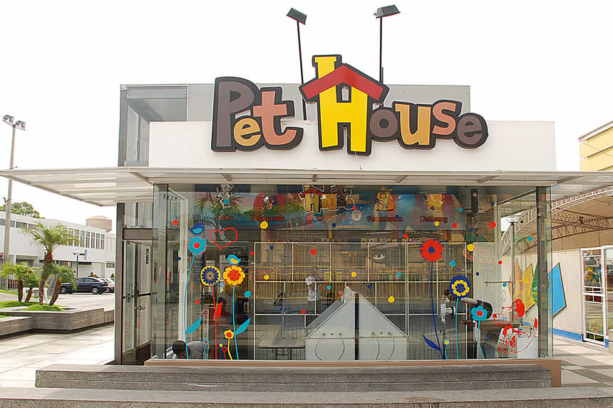 Augusto Lira, el ingeniero baterista economista PET HOUSE