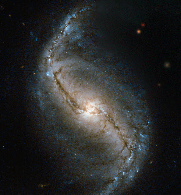 Spiral Galaxy NGC 986