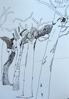 Meredith Nemirov: APRIL TREE DRAWINGS