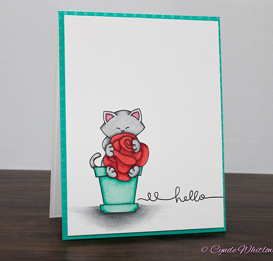 Kitty hugging rose card by Cynde Whitlow | Stamps by Newton's Nook Designs #newtonsnook