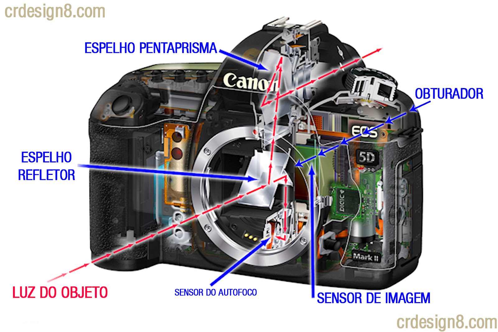 Adriano Falcão Qual câmera comprar? DSLRs