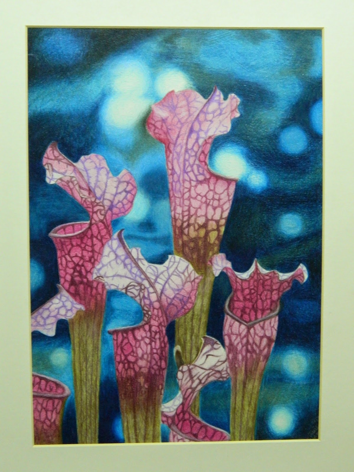 The State Botanical Garden of Art Competition Winners