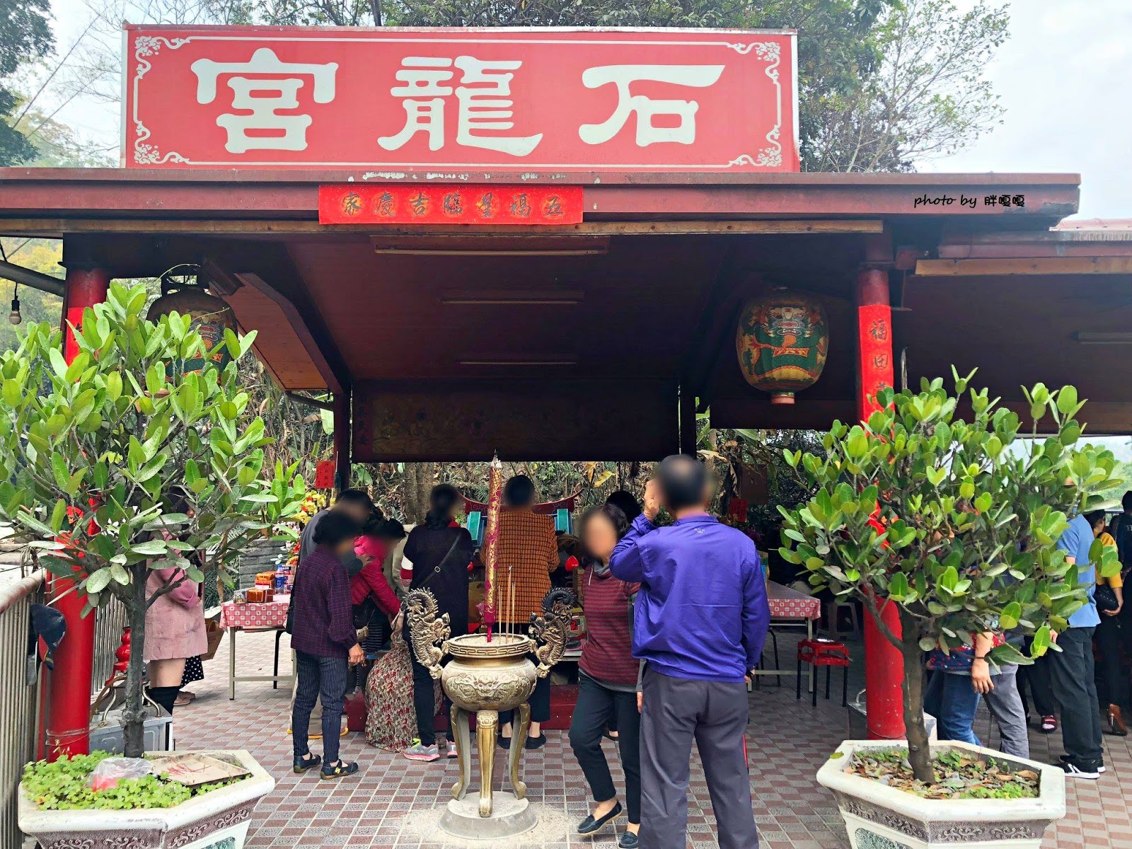 南投中寮 綠林園 石龍宮 泡麵土地公旁 貨櫃屋好好拍 喝咖啡 賞花 放鬆的好地方