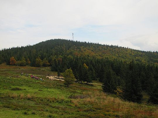 Okrąglica. Okrąglica.