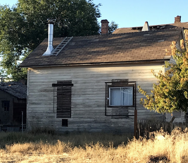 danger garden Our future estate, in Burns Oregon...