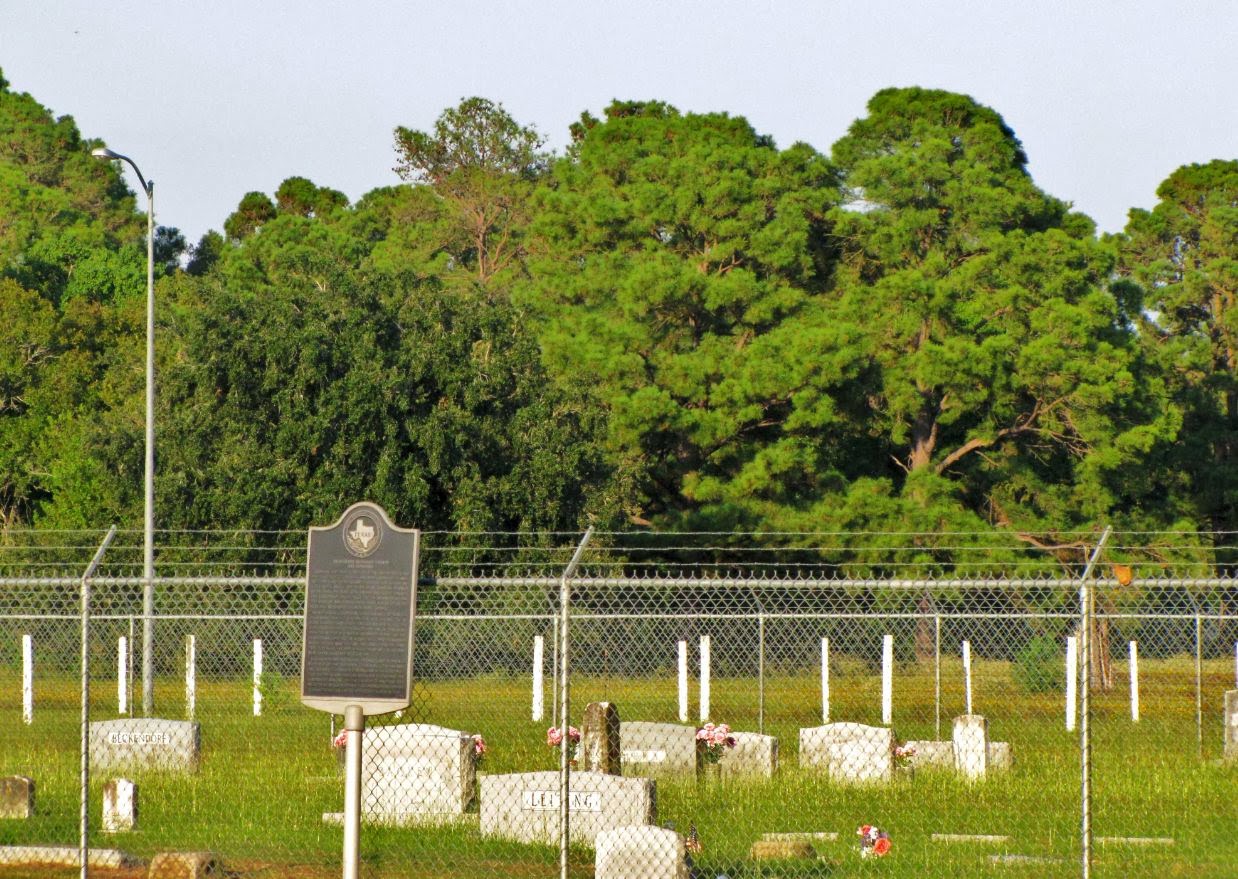 HTownWest Photo Blog Abercrombie Drive at Patterson Road Bear