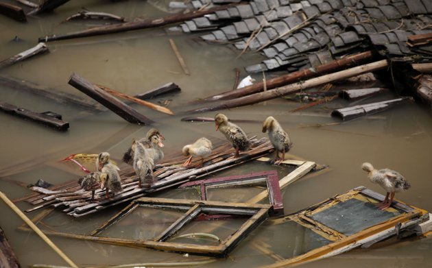 Yangtze River Flooding