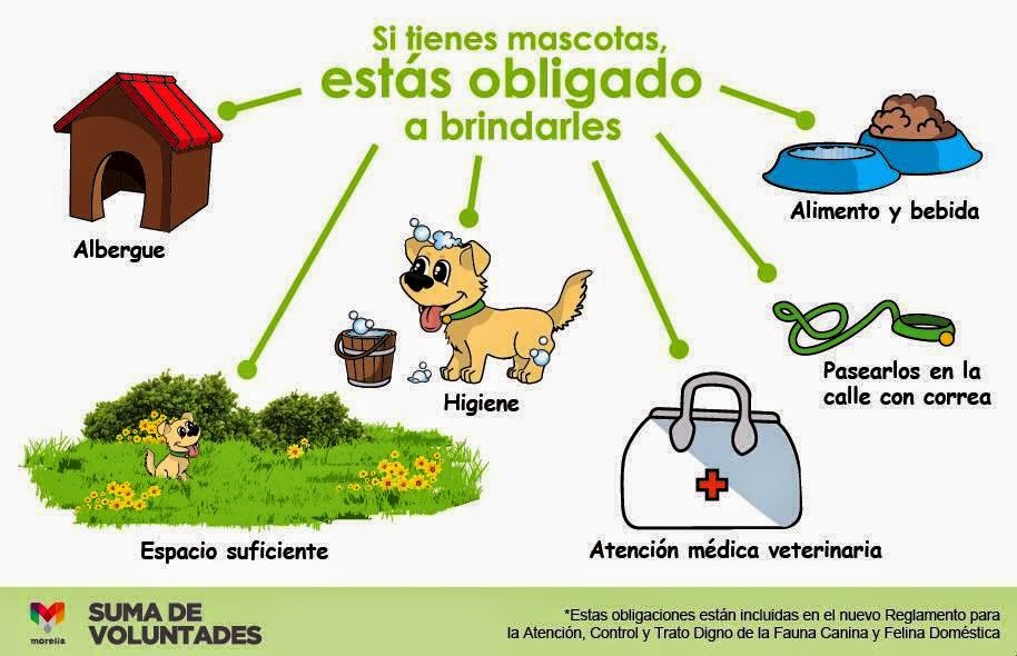 Cuidados básicos de tu animal de compañía Cuidados básicos de tu animal de compañía