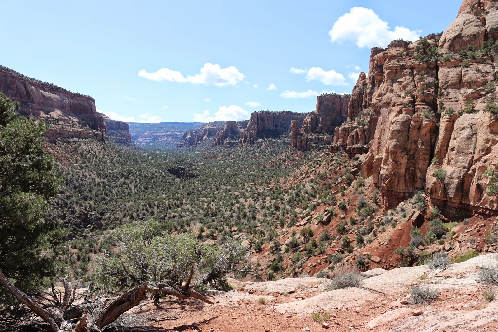 Devil's Canyon Area (6)