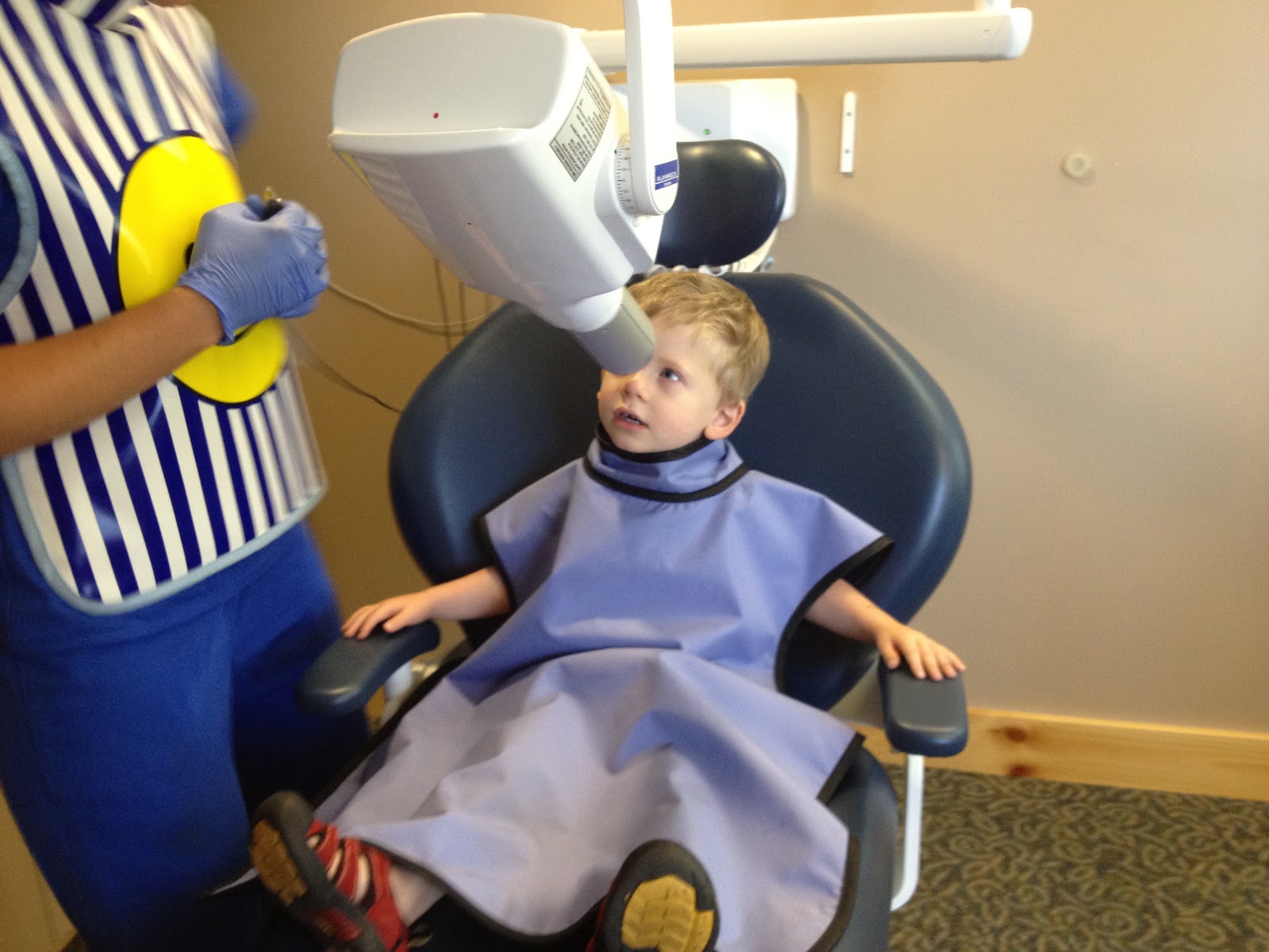 Greenberg Family Adventures Hank's First Dental Cleaning